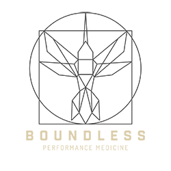 The Boundless Medicine website sidebar logo