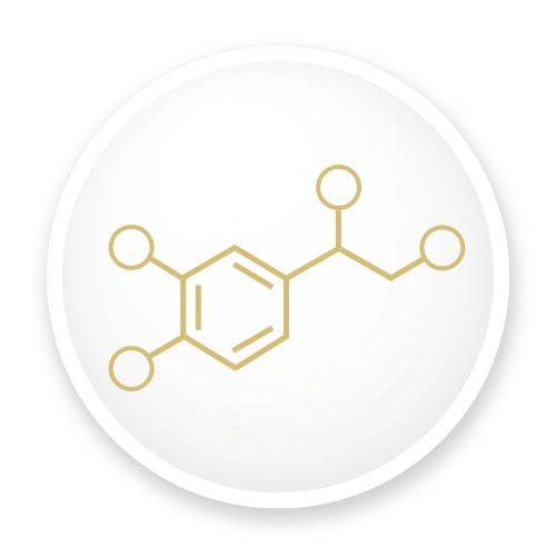 Peptide Therapy Icon